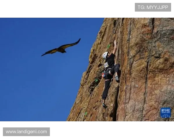 杭州攀岩队与成都攀岩队赛后战术分析与总结探讨