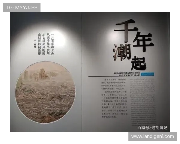 杭州篮球队的奋斗历程与荣耀时刻全景纪实