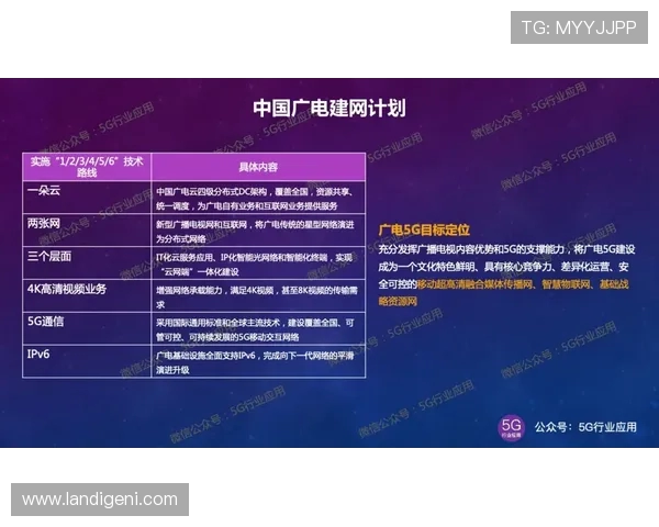 RulerADC职业赛场发展历程与技术风格深度解析 RulerADC职业赛场发展历程与技术风格深度解析