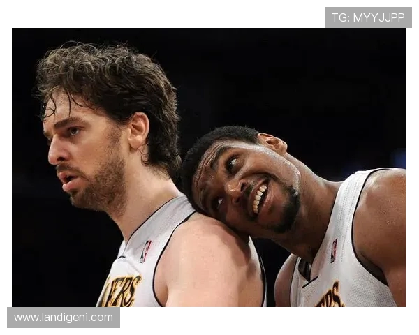 国王队与热火队精彩对决录像回放全程回顾与分析